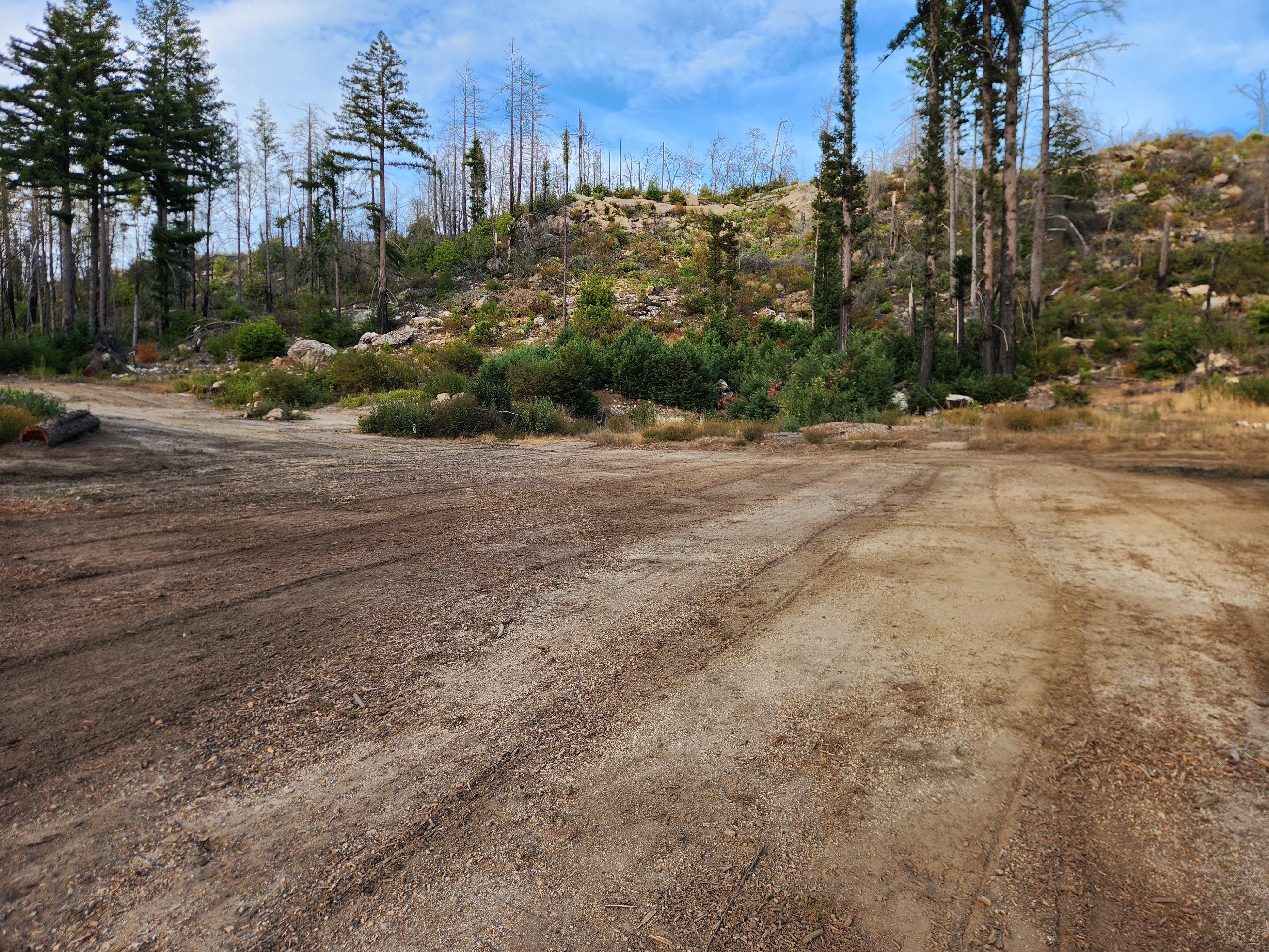 2025 Rebuild Location