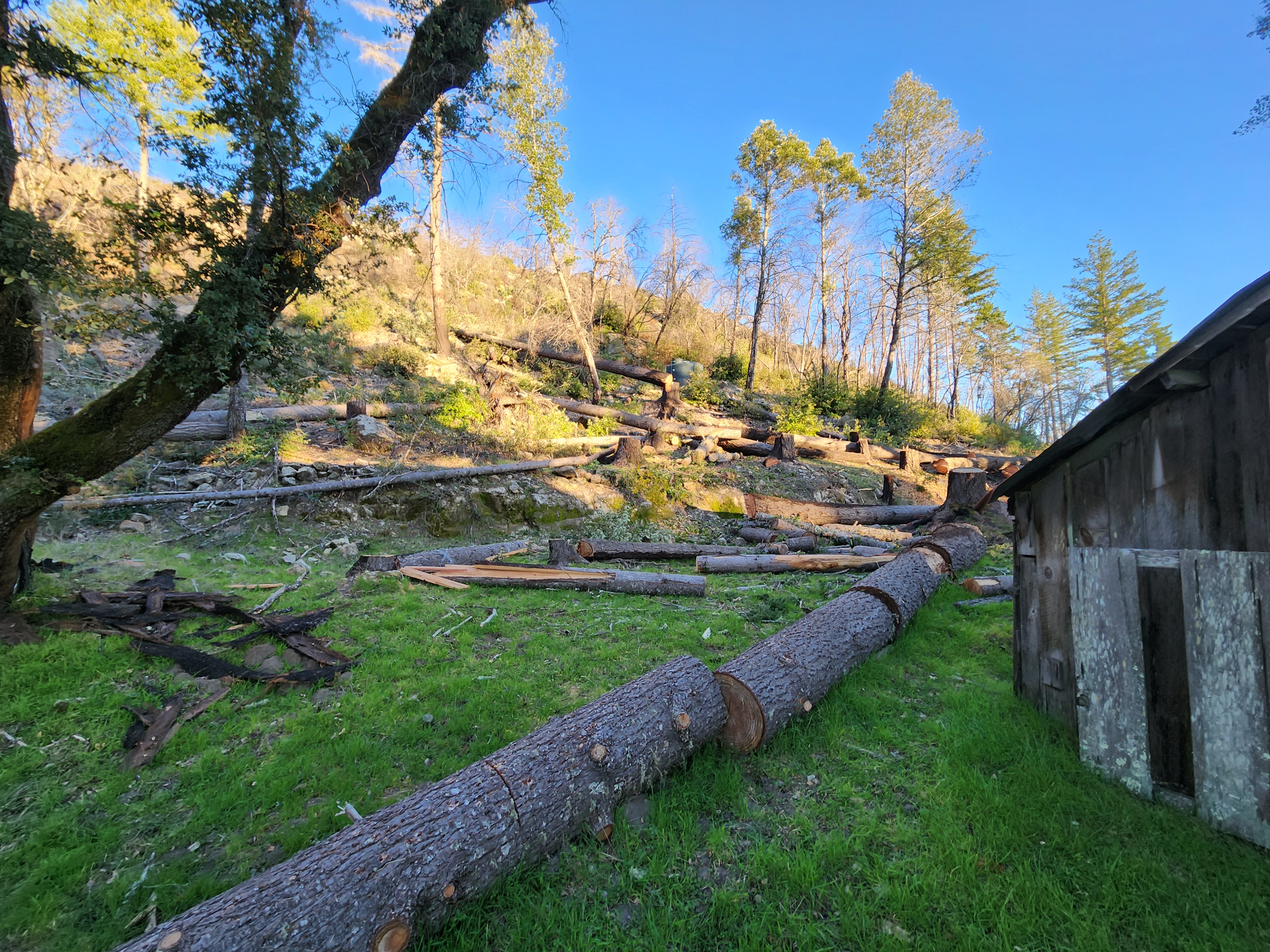 Another one bites the dust