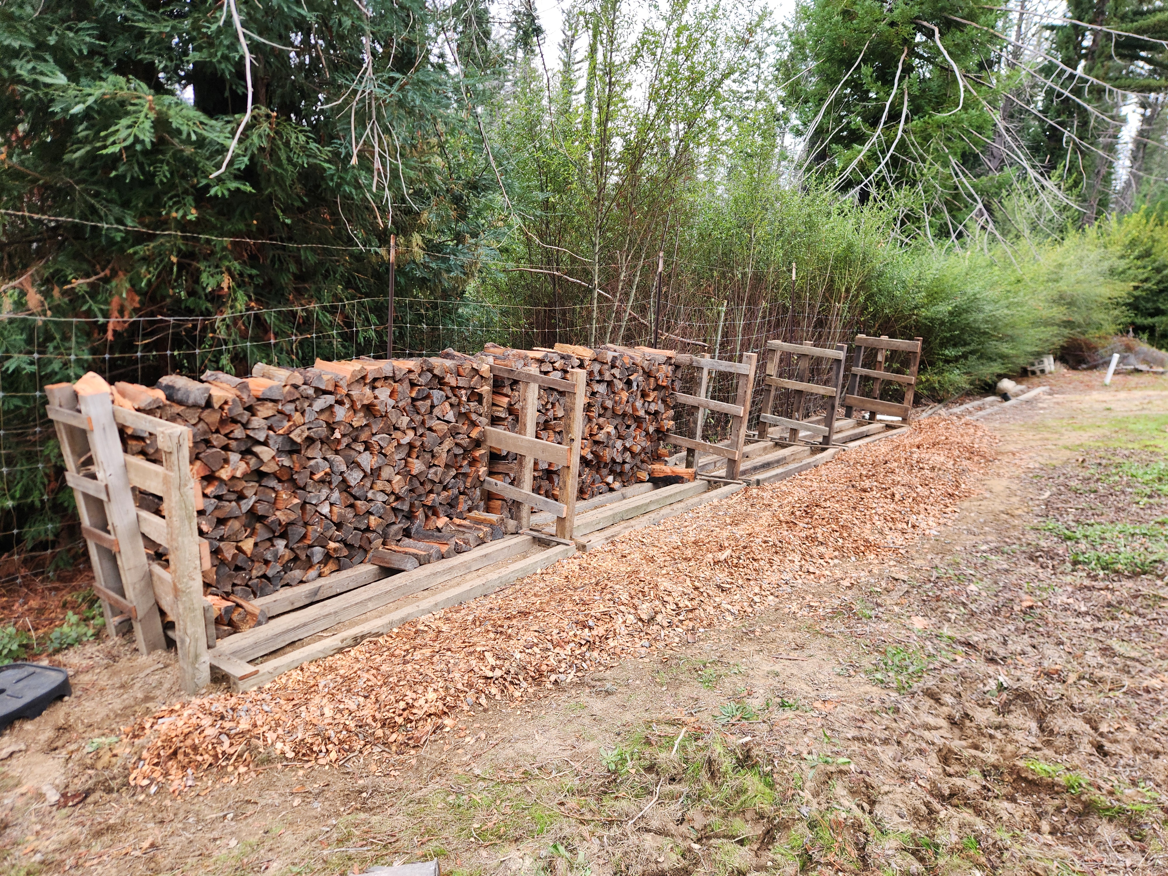 Look at all that firewood!